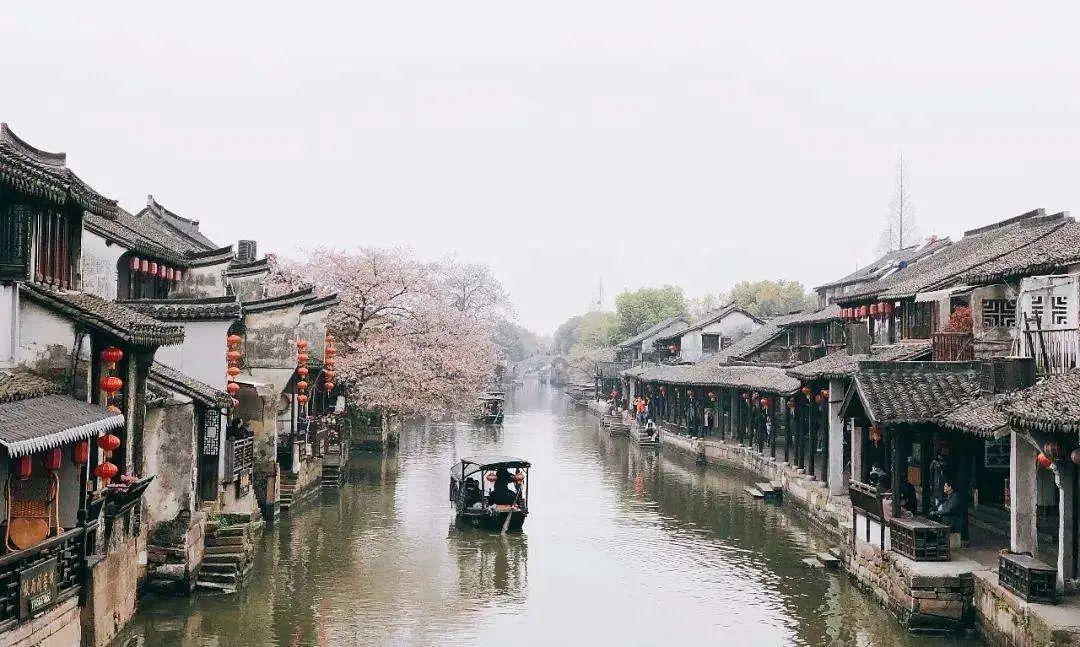 紫砂壶串味如何补救？